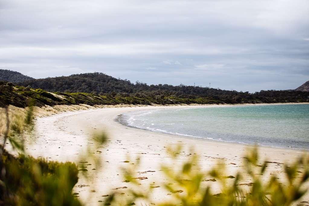 Saffire - Freycinet Hotell Coles Bay Natur bilde