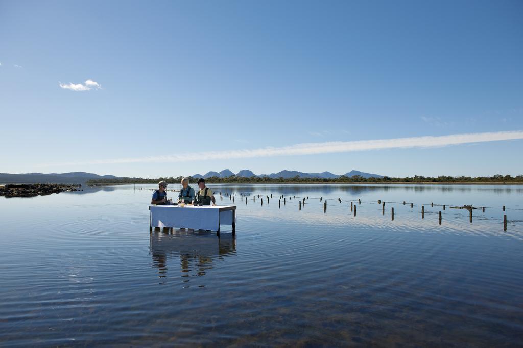 Saffire - Freycinet Hotell Coles Bay Eksteriør bilde